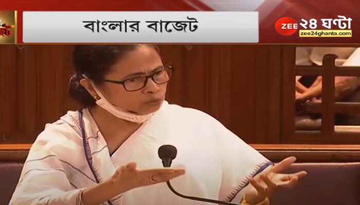 Bengal Budget Live: যান পরিবহণে কর মকুব থেকে সড়ক, উড়ালপুল- ঘোষণা মমতার