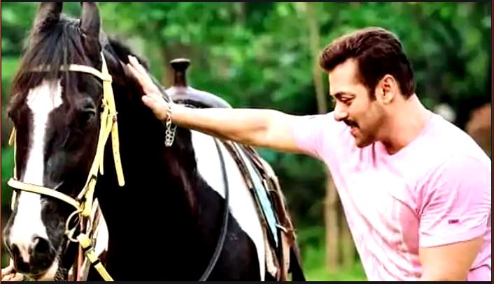 Salman Khan-র ঘোড়া কিনতে গিয়ে ১২ লক্ষ টাকা খোয়ালেন এক মহিলা