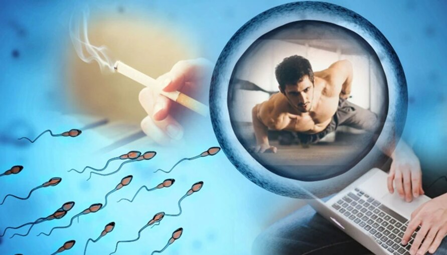 এই ৮ অভ্যাস কমিয়ে দিতে পারে স্পার্ম কাউন্ট!