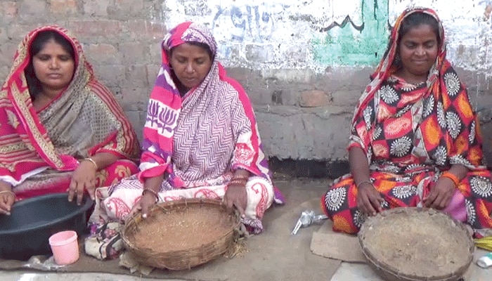 চলবে কী করে; কাঁচামাল দেওয়া হোক ঘরে বসেই কাজ করব, আবেদন বিড়ি শ্রমিকদের 