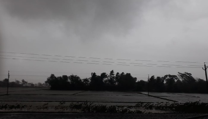 Cyclone Yaas:  ল্যান্ডফল হবে ধামড়ায়, এখন কী পরিস্থিতি, ঘুরে দেখল Zee 24 Ghanta 