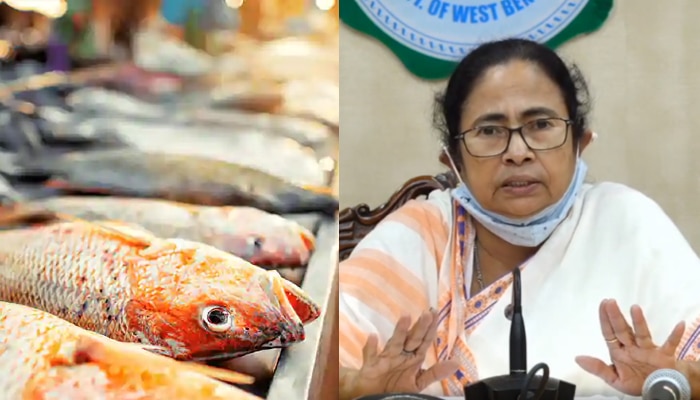মরা মাছ নুন হলুদ মাখিয়ে রোদ্দুরে শুকিয়ে বা ড্রাই করলে লোকে নিতে পারে: Mamata