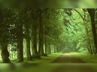 Yalang dumba ustida qol porno video