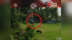 ভ্যাকসিন নিতে নারাজ, দৌড়ে পালালেন বাসিন্দারা, অবশেষে প্রশাসনের উদ্যোগে ১০০ জন vaccine নিলেন