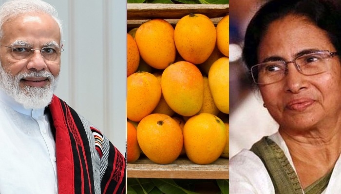 Mango to Modi: রাজনৈতিক মতবিরোধের মধ্যেও আম-সম্পর্কে বিমুখ নন আম-জনতার নেত্রী