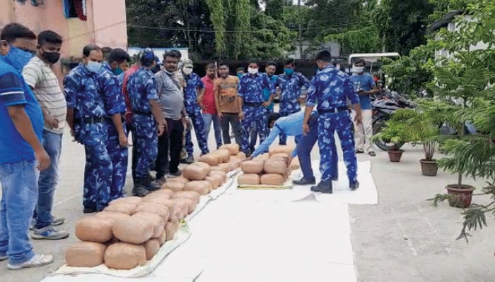 চা-পাতা বোঝাই ট্রাকে তল্লাশি চালিয়ে তাজ্জব পুলিস, উদ্ধার কয়েকশো কেজি গাঁজা  