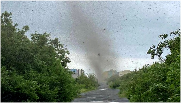 দেখুন ভিডিয়ো: Mosquito Tornado! মশাদের &#039;ঘূর্ণিঝড়ে&#039; আঁতঙ্কে কাঁপছে রাশিয়া