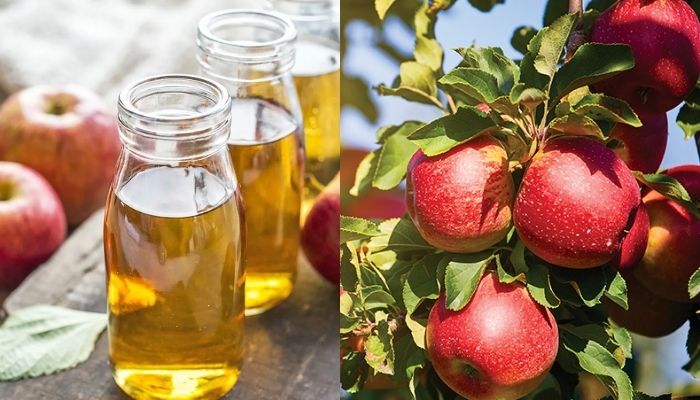 Playing Apple Cider Vinegar helps to lose weight