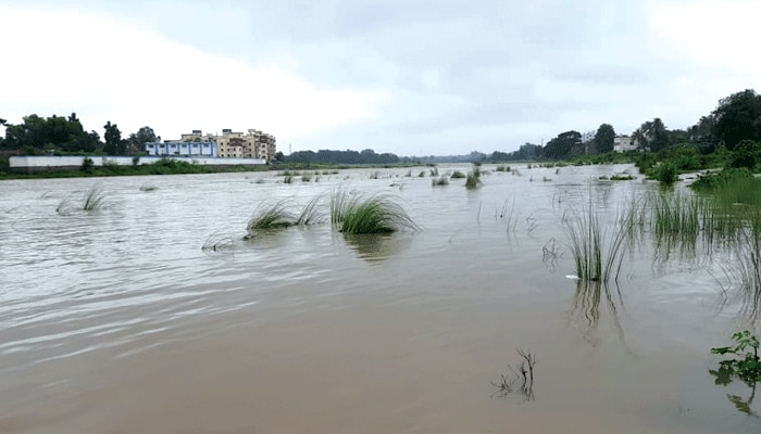 বন্যা পরিস্থিতি নিয়ে খোঁজ নিলেন মুখ্যমন্ত্রী, ৯ জেলা শাসককে তৈরি থাকতে নির্দেশ মুখ্য সচিবের