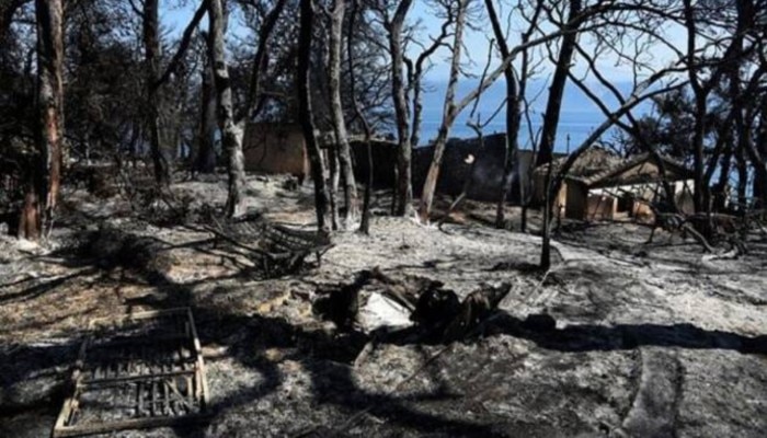 Burned houses: ঘরবাড়ি জ্বলছে