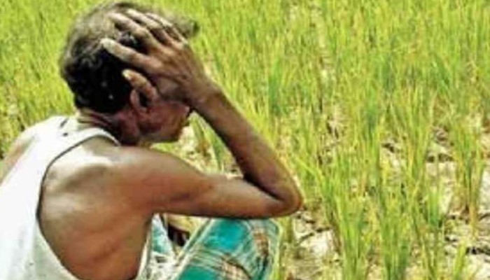 PM Kisan Samman Nidhi Scheme:ফের কৃষক সম্মান নিধি সংঘাত, না মঞ্জুর ৯.৫ লক্ষ আবেদন PM Kisan Samman Nidhi Scheme:ফের কৃষক সম্মান নিধি সংঘাত, না মঞ্জুর ৯.৫ লক্ষ আবেদন