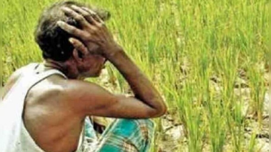PM Kisan Samman Nidhi Scheme:ফের কৃষক সম্মান নিধি সংঘাত, না মঞ্জুর ৯.৫ লক্ষ আবেদন