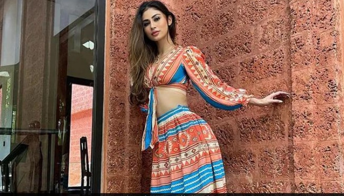 Mouni Roy in Indian Blouse Skirt