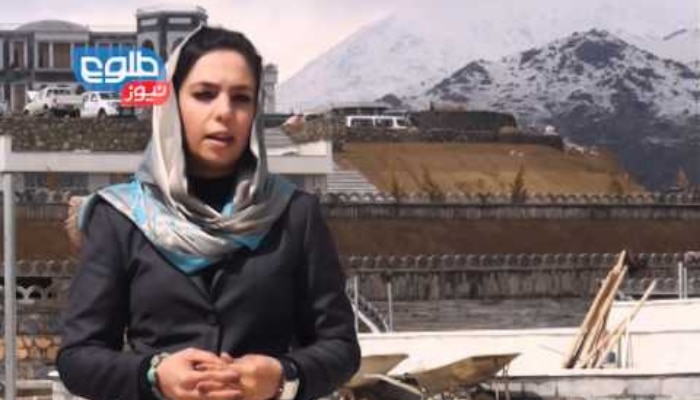 Afghan journalist: আফগান সাংবাদিক