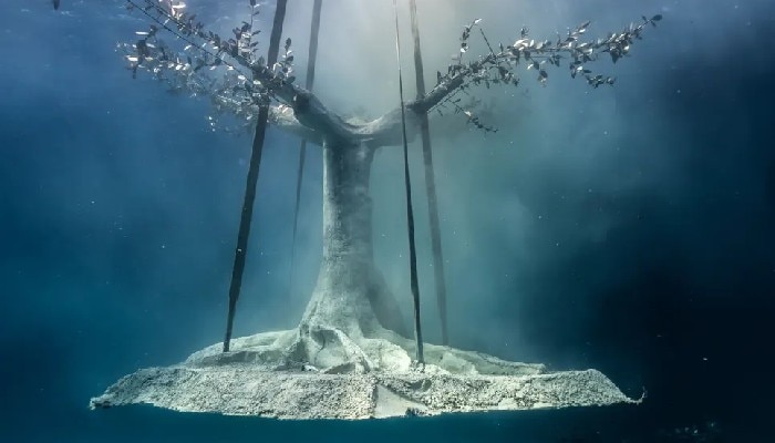 Underwater Sculpture Park