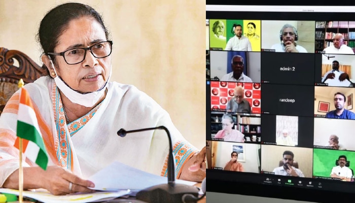 Opposition Meet: বিরোধী জোটের নেতা কে? ১৯ দলের বৈঠকে বাতলে দিলেন Mamata 