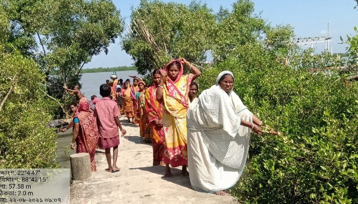 Woman ties Rakhi to mangroves in Sundarbans