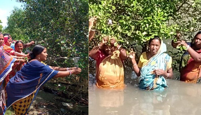 Woman ties Rakhi to mangroves in Sundarbans