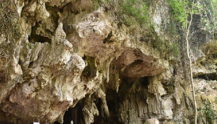 Limestone Cave, 