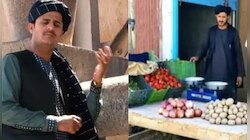 Afghan Singer: ছিলেন বিখ্যাত গায়ক, তালিবানি-আমলে হলেন সবজি-বিক্রেতা 
