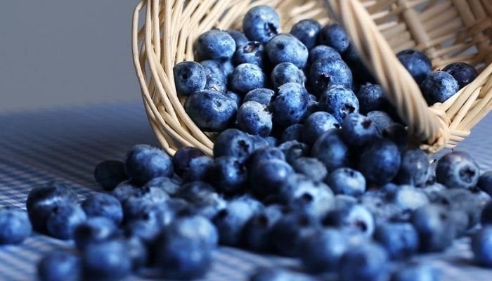 Blackberries help to keep the skin hydrated
