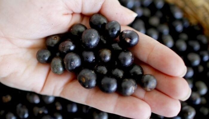 The antioxidants in blackberries prevent wrinkles on the skin
