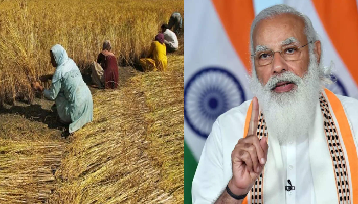 MSP Hike: কৃষকদের জন্য বড় খবর! রবি শস্যে ন্যূনতম সহায়ক মূল্য বৃদ্ধি কেন্দ্রের MSP Hike: কৃষকদের জন্য বড় খবর! রবি শস্যে ন্যূনতম সহায়ক মূল্য বৃদ্ধি কেন্দ্রের