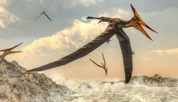 Pterosaurs