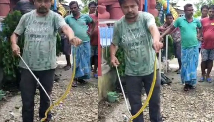 Green Pit Viper snake rescued from a resort at Malbazar