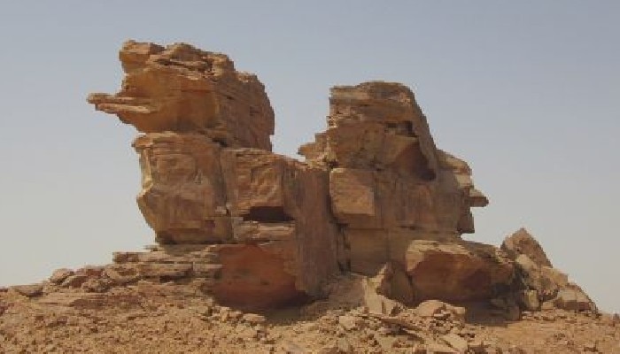 camel sculptures