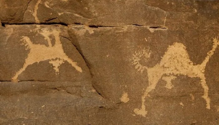 oldest animal reliefs