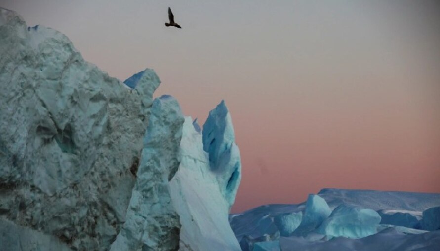 Climate Change: পরিবেশবাদী আন্দোলনকে পুঁজিবাদবিরোধী আক্রমণ মনে করি না: বরিস জনসন