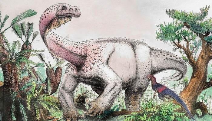 New Dinosaur Species: প্রায় ৭ কোটি বছর আগে ব্রাজিলে ঘুরে বেড়াত এরা 