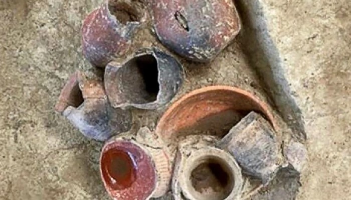 Beer Pots: চিনে ৯০০০ বছর আগের মৃৎপাত্র! সুরাপানের? 