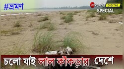 #ভ্রমণ: ছুটিতে যেতে চান নির্জন সৈকতে? চলুন লাল কাঁকড়ার দেশে