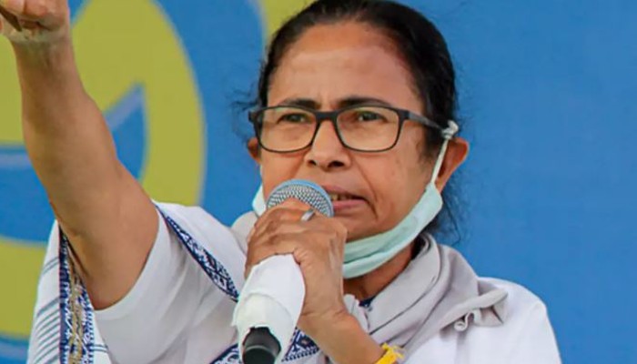 Mamata Banerjee: মোদী ক্ষমতায় আসার পর কংগ্রেস কোনও লড়াই করেনি