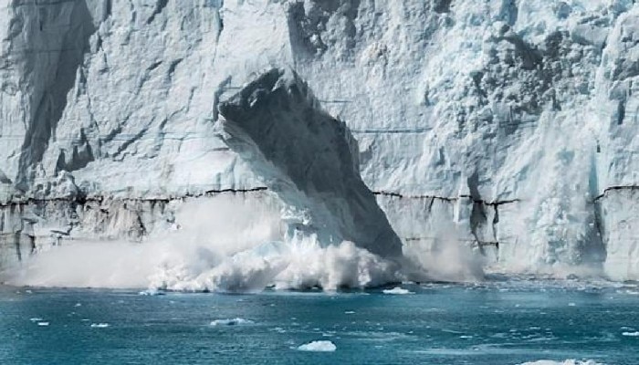 Arctic: দ্রুত গলছে বরফ; সুতোর উপর ঝুলছে জীবন 