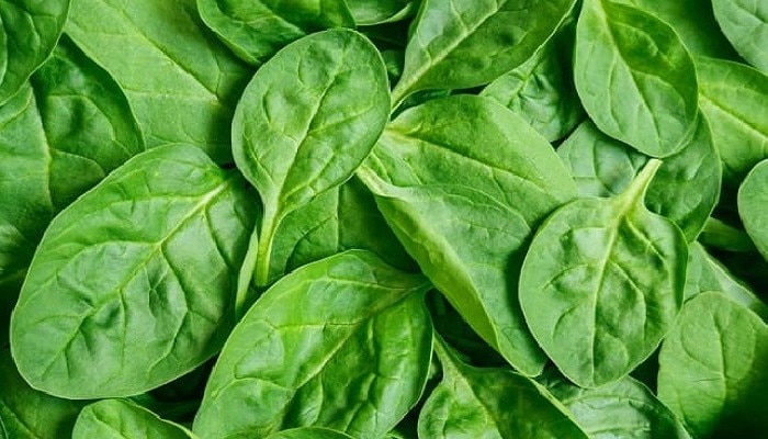 spinach 