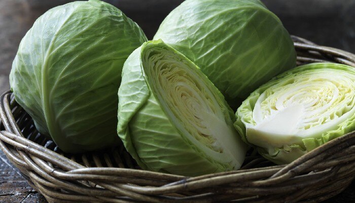 cabbage 