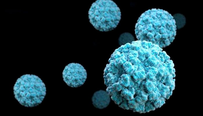 Norovirus: আতঙ্কিত কেরল, করোনার পর এবার রাজ্যে দ্রুত ছড়াচ্ছে নোরোভাইরাস