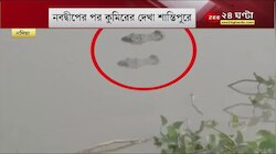 Crocodile: ফের গঙ্গায় কুমিরের দেখা! কখনও জলে, কখনও চরে, আতঙ্কে এলাকাবাসী| Viral News | Zee 24 ghanta