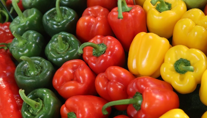 Capsicum Price Hike