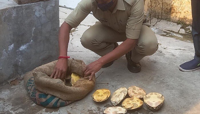 Tortoise rescued from Howrah bound Doon Express at Bandel