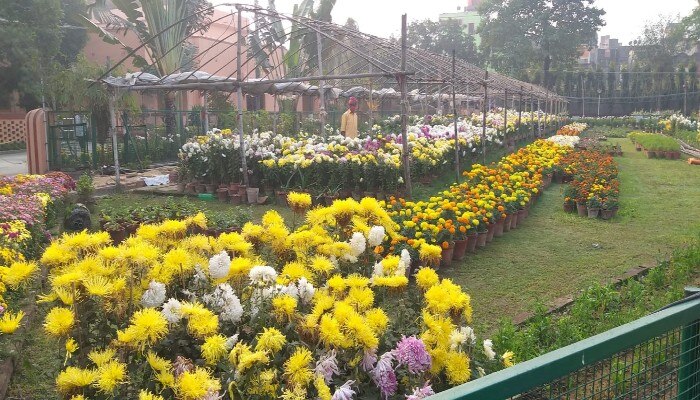 Kalpataru Diwas 2022 