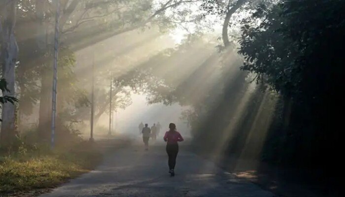 Weather Today: হু হু করে কমল তাপমাত্রা, রবিবারের কনকনে ঠান্ডায় কাঁপছে রাজ্য