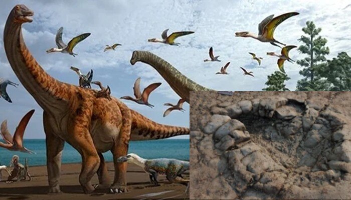 Dinosaur Footprints: ২০ কোটি বছর আগের ডাইনোসরের পায়ের ছাপ!