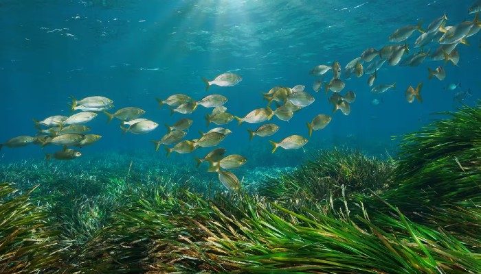 Onam oglining juda katta sikini yaxshi koradi va squirting orgazmini boshdan kechiradi Katta kokrakli yalangoch qora tanli ayollar fotosuratlari