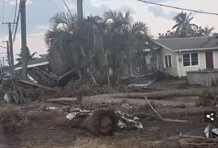 Tsunami Hits Tonga