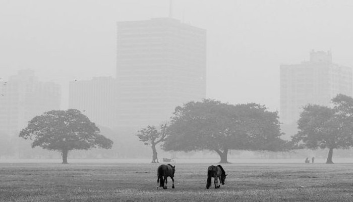 Kolkata weather