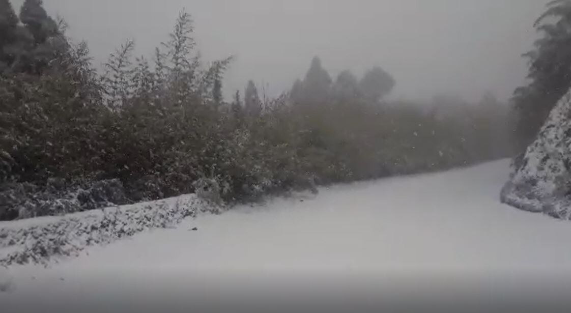 Darjeeling Snowfall